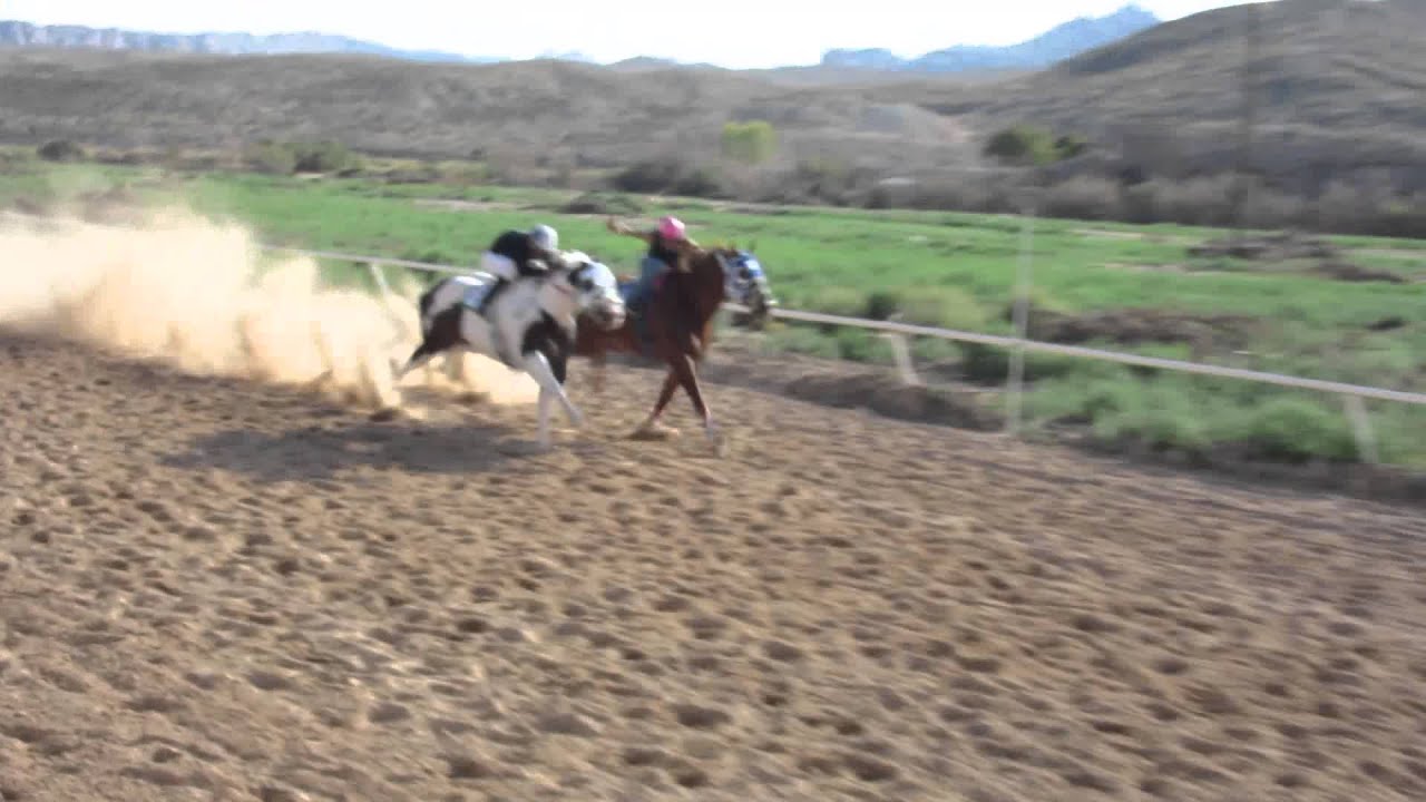 Swingers in moapa valley nevada