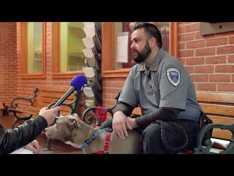 ცხოველთა მიმართ სისასტიკე - ფედერალური დანაშაული შეიძლება გახდეს