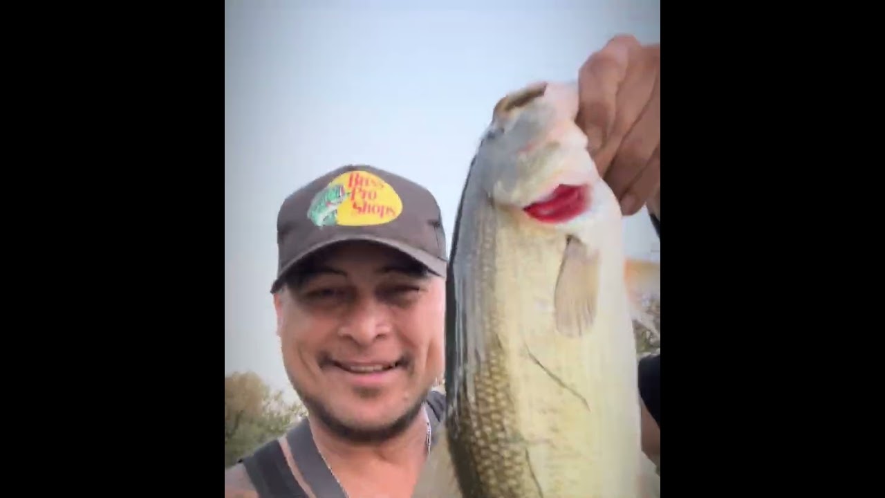 Another Bass Fishing Session With My Daughter 👧 ❤️🥰🔥🔥