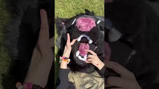 Found A Small Creature On The Floor Xo Paw Er