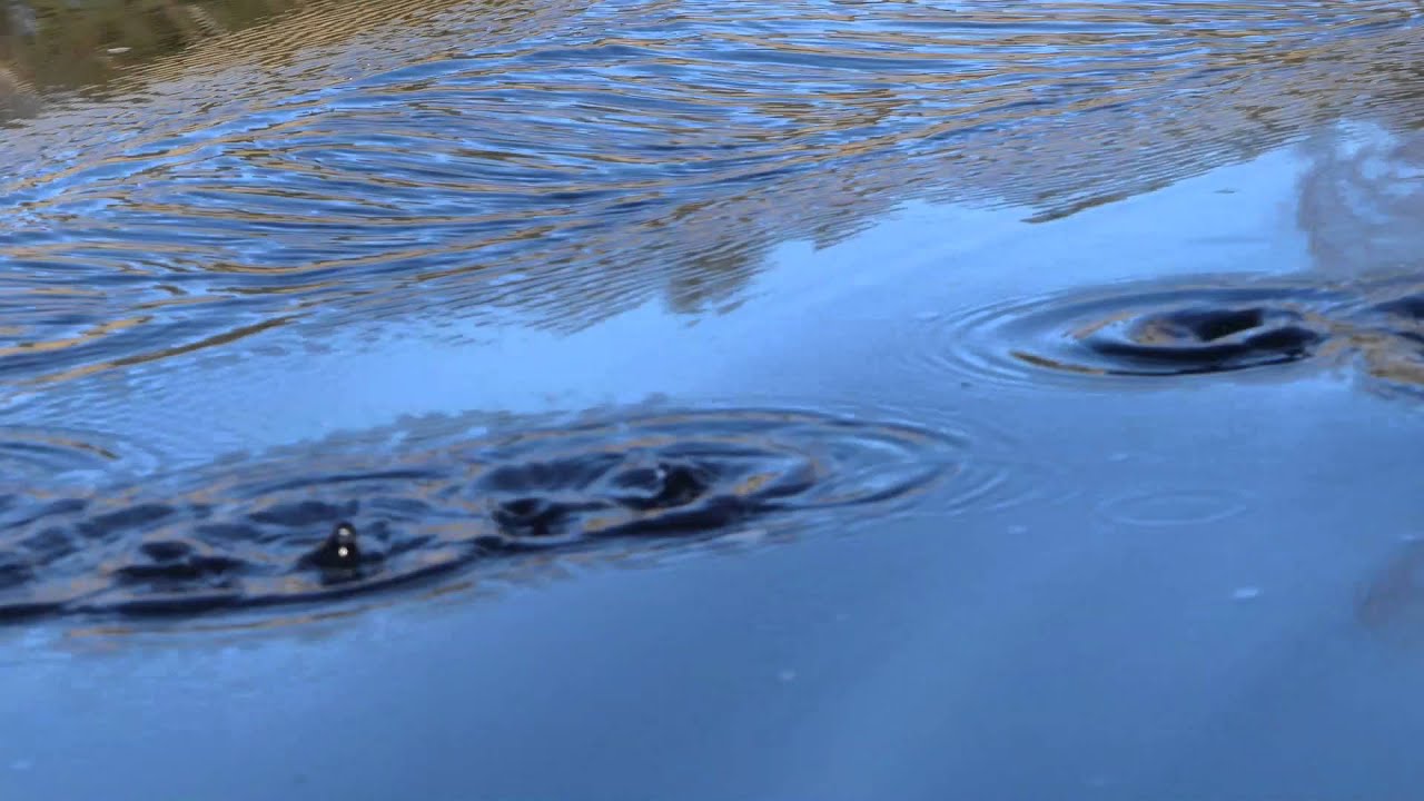 Padletur fra Telemark kanalcamping til Kjeldal Sluse