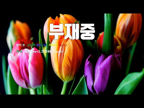 [은성 반주기] 부재중 - 노브(nov).크러쉬(Crush)