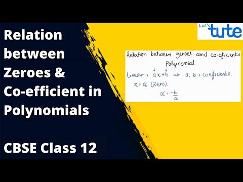 Relation between Zeroes & Co-efficient Polynomials | Math | Class 12 | Letstute CBSE