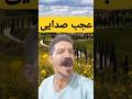 صدایی که هرکی گوش داده عاشقش شده آهنگ خارج از طنز صدایی که هرکی گوش داده عاشقش شده آهنگ خارج از طنز