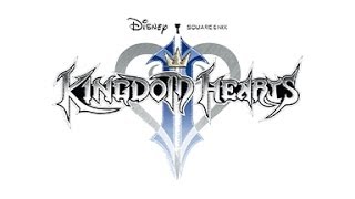 THE XIII'TH STRUGGLE COVER | Kingdom Hearts II