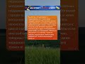 работа работой но семья по расписанию😂