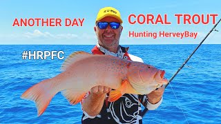 Bangn "Coral Trouts" with #hrpfc in Hervey Bay. @www.hotreelsprofishcharters.com.au