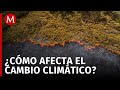 El cambio climático azota a América Latina