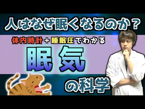 【眠気】なぜ人は眠くなるのか？眠気の仕組みを解説するぜ　睡眠の科学②