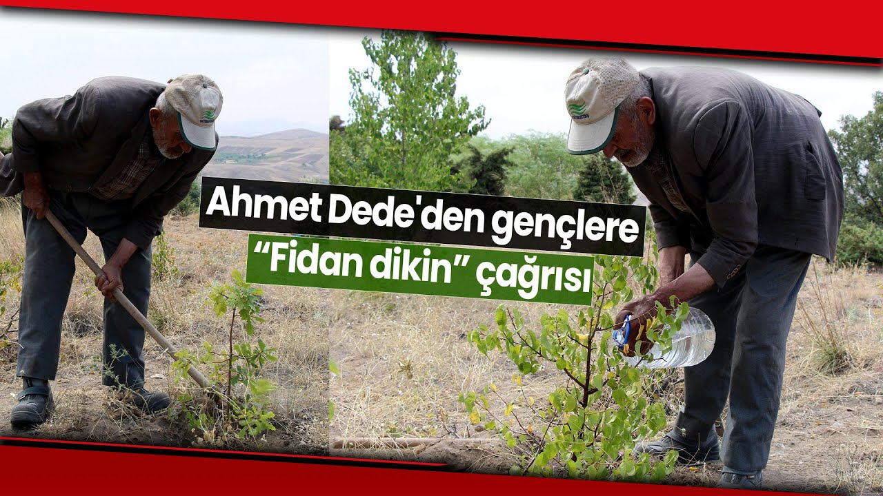 Ahmet Dede, 34 Yıldır Kasabasında Bulunan Dağa Fidan Dikiyor