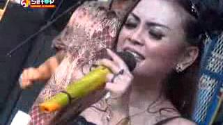 Download Lagu DIKONCOG RABI nina yani NP show lebakmekar 30 Des 2015 MP3
