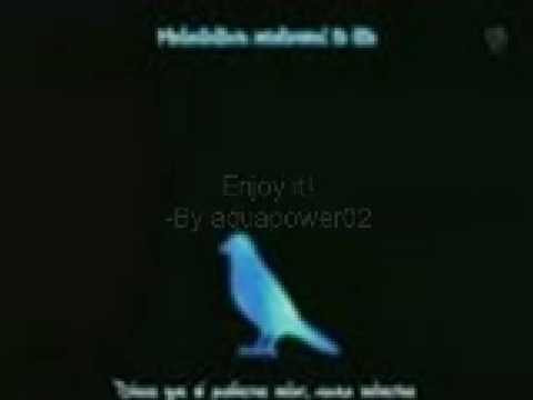 ikimono gakari blue bird english translate ikimono gakari blue bird english translate