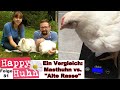 E81 Turbo-Masthühner näher betrachtet - HAPPY HUHN - Masthybriden im Vergleich mir normalen Hühnern