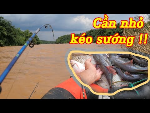 Video Săn cá lăng đuôi đỏ giữa sông, chụp nhanh không là bay... - youtube