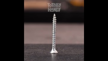 Easy DIY Home Repairs You Can Do Yourself