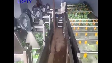 Water Bath Bagged Tomato Paste Pasteurization Machine