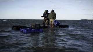 Know Where Your Fish Comes From: Wellfleet Oysters & Clams
