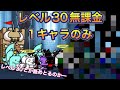 城体力1000万をレベル30で破壊できる無課金キャラが居るらしい…w【にゃんこ大戦争】