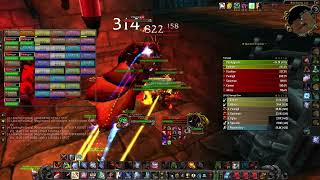 WoW Classic fury warrior pve Blackwing Lair Flamegor kill