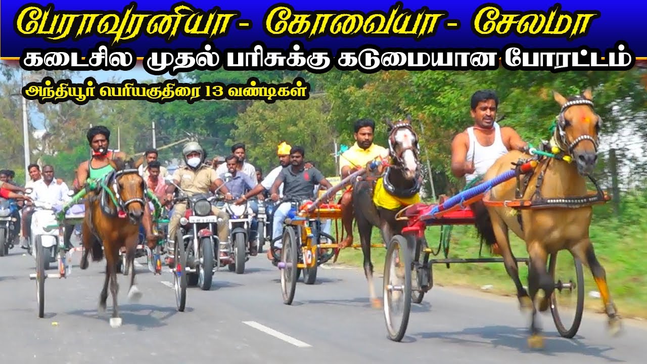 பெரிய குதிரை ஈரோடு(மா) அந்தியூர் குதிரை வண்டி பந்தயம்|19-12-21||  Anthiyur Periya kuthirai panthayam