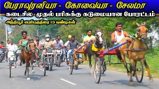 பெரிய குதிரை ஈரோடு(மா) அந்தியூர் குதிரை வண்டி பந்தயம்|19-12-21||  Anthiyur Periya kuthirai panthayam