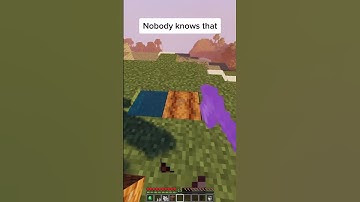 when you break a netherite hoe