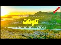 Guardians Of The River Life With Morocco S Sless Tribe Taounate Documentary Guardians Of The River Life With Morocco S Sless Tribe Taounate Documentary
