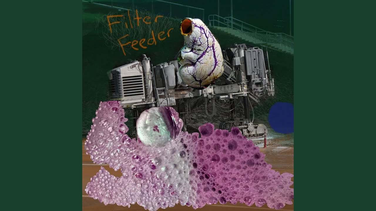 Filter Feeder