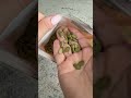 Review Viva Naturals Pumpkin Seeds #pumpkinseed #healthysnacks #amazon #amazonfinds #highfiberfoods