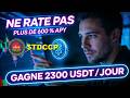Interview 10 baleines TDCCP token — leçons majeures pour 2026