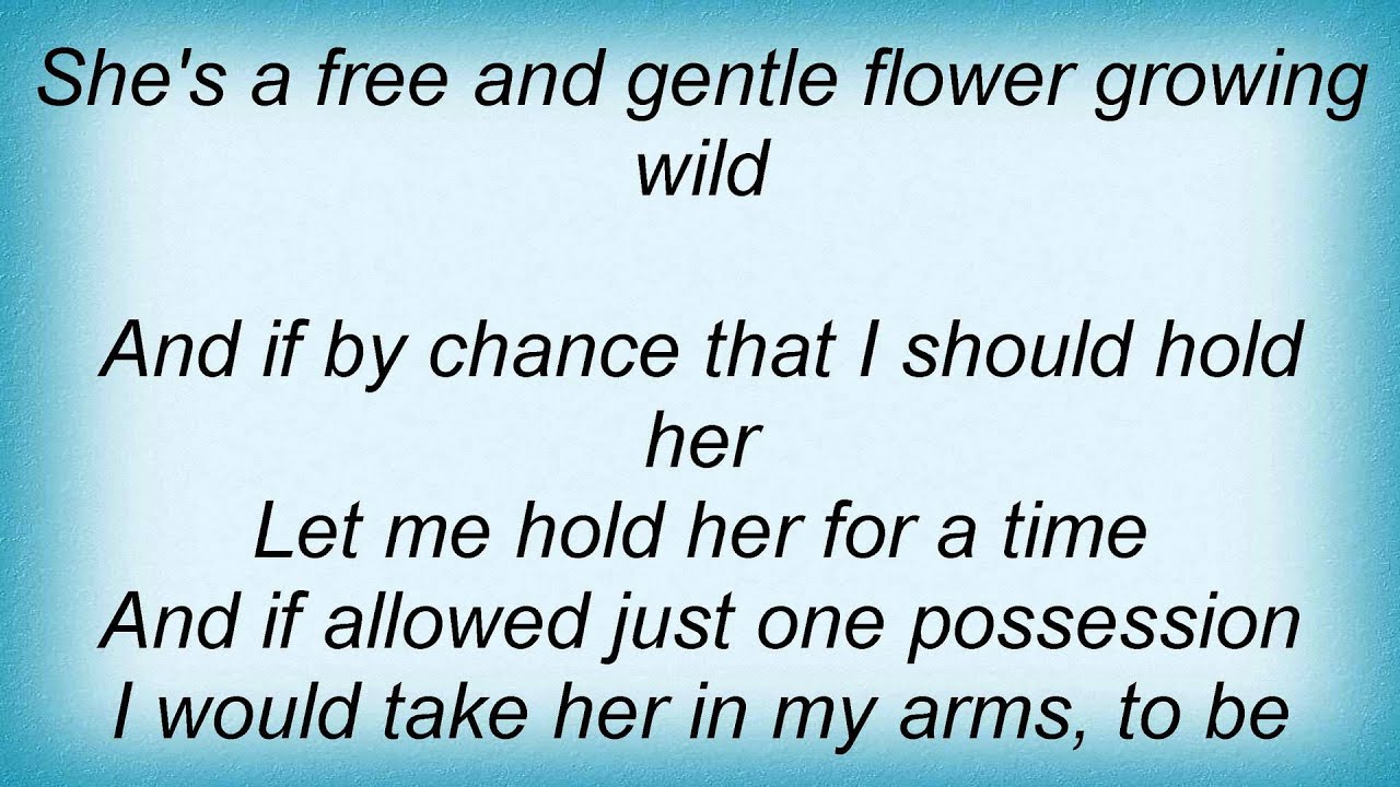 Blake Shelton Wildflower Lyrics_1 YouTube