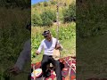 The Satar Is A Traditional Uyghur Long Necked Bowed Lute Uyghur Satar Music The Satar Is A Traditional Uyghur Long Necked Bowed Lute Uyghur Satar Music