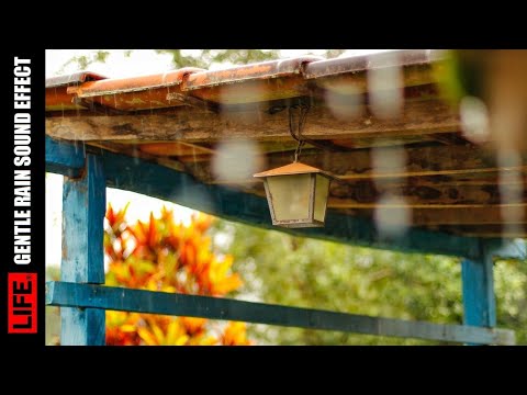 Rain Sound Effect - Efek Bunyi Hujan 1 minit