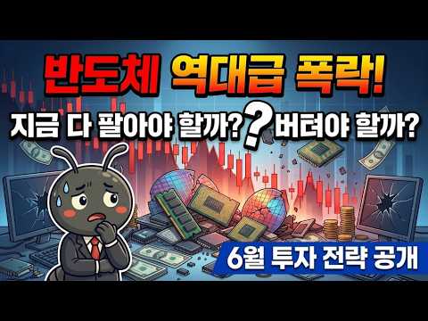 반도체 역대급 폭락, 지금 다 팔아야 할까? 버텨야 할까? 6월 투자 전략