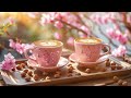 Cherry Blossom Cafe Ambience LIVE 🌸 | Cozy Coffee Shop Sounds for Study, Focus &amp; Relaxation