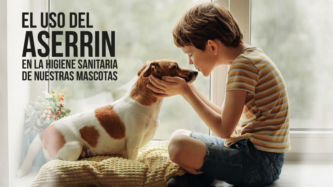 Uso del Aserrín en Mascotas 