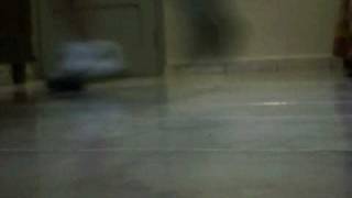 Thales Rebolation 2