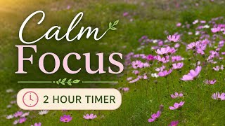Calm Focus in BloomField 🌸 2 Hour Focus Session | Gentle Nature Ambience & Light Piano screenshot 4