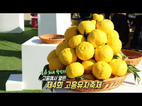 ‘고흥유자축제’ <strong>유자</strong> 최대 생산지에서 즐기는 오감 만족 체험!