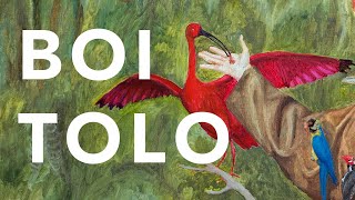 Julio Secchin - BOI TOLO