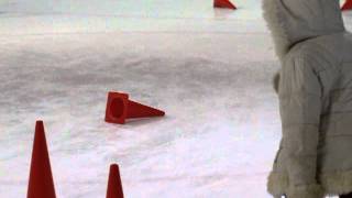2013 February Willow is a Force of Destruction on Ice