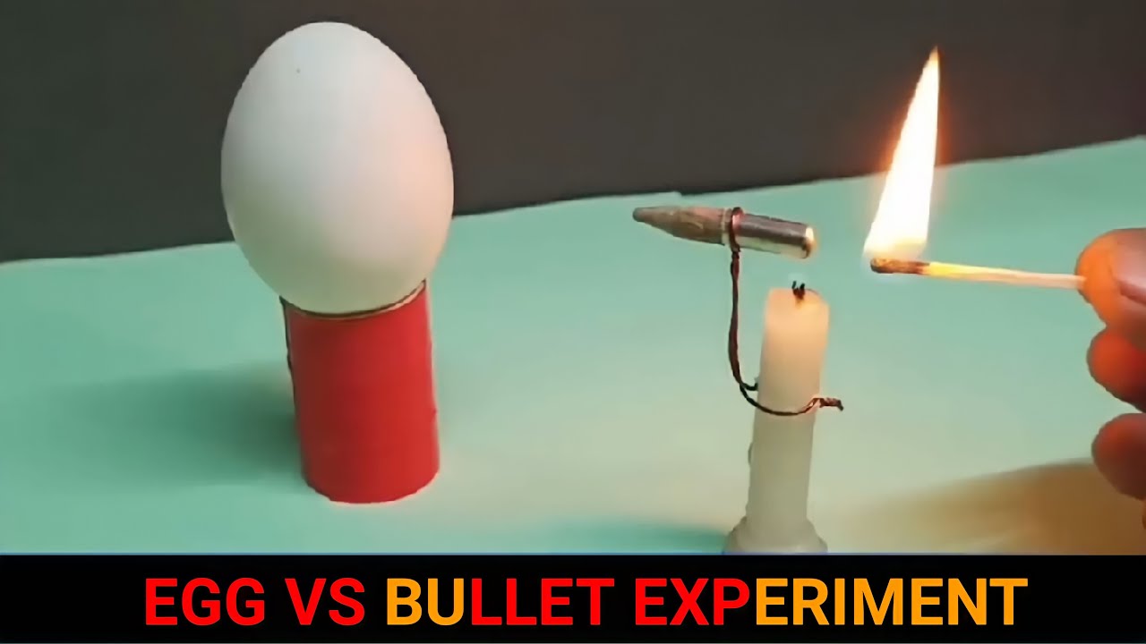 Egg Vs Bullet Experiment 