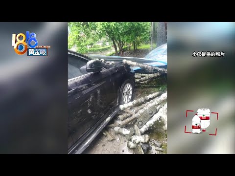 【1818黄金眼】保险赔付缺300元无法提车，卡在了“流程”？