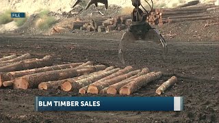 BLM’s September timber sales to offer nearly 40 million board feet in Western Oregon