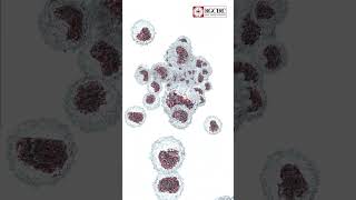 Hyperbaric Oxygen Therapy (HBOT) in Cancer Care | Explained by Dr. Shalini Mishra