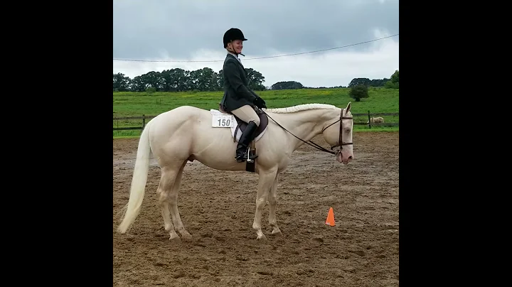 Teresa Coyle equitation pattern at West wind