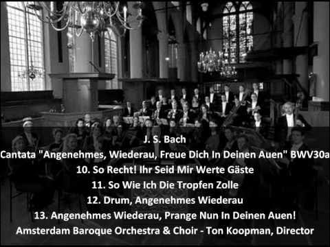 J. S. Bach Cantata 