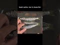 [Iwashi sardine vol.1] click here to watch full video! #sushi #sushichef #sushimaster #sashimi