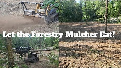 Killer Food Plot Creation in the Timber