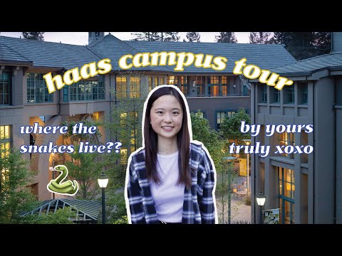 UC Berkeley Haas Campus Tour | Haas School of Business ?✨